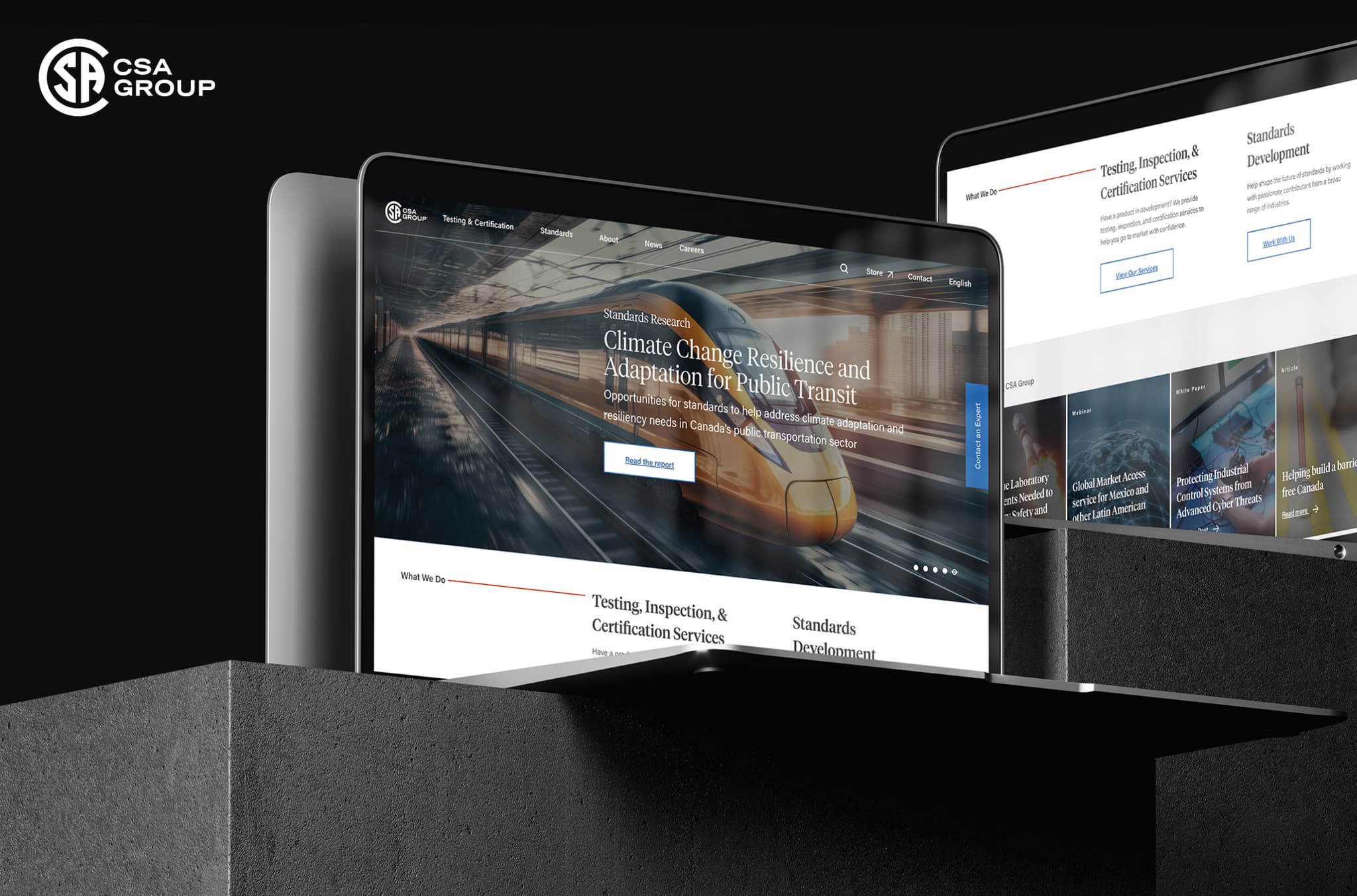 PORTFOLIO CSA